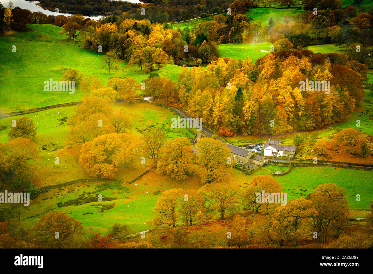 Autunno scena vicino a Ambleside nel Lake District inglese Foto Stock