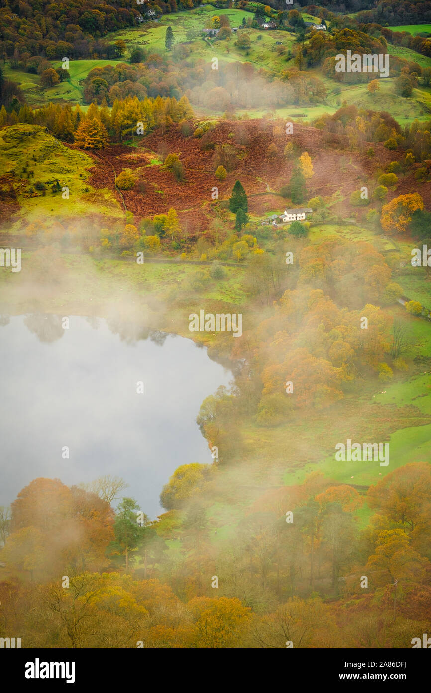 La nebbia in Loughrigg Tarn vicino a Ambleside, Lake District inglese Foto Stock