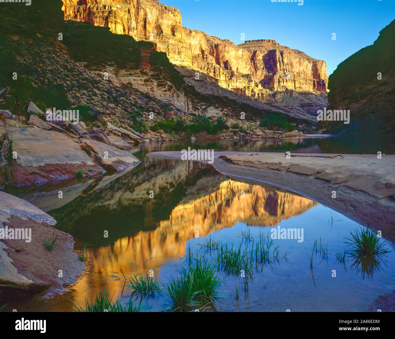 Riflessioni in un fiume piscina, il Parco Nazionale del Grand Canyon, Arizona, Colorado River, Conquistador corsia Foto Stock