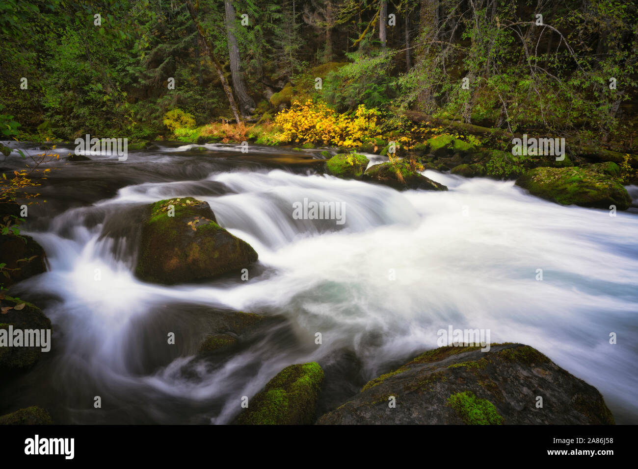 Il flusso d'autunno della selvaggia e Scenic Clackamas superiore fiume precipita attraverso Oregon's Mount Hood National Forest. Foto Stock