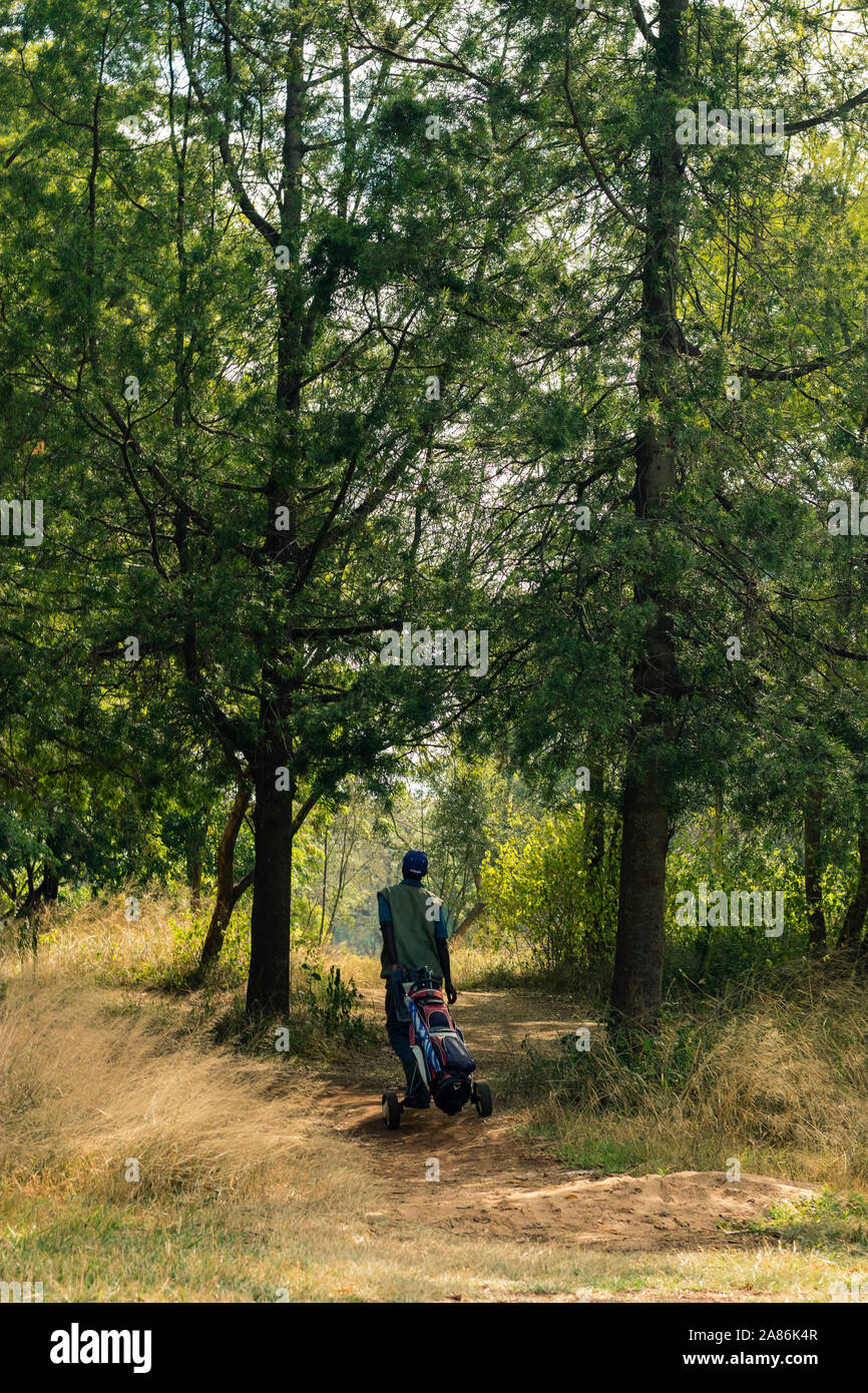 Golf caddie carriyng borsa da golf camminando sul percorso tra gli alberi Foto Stock