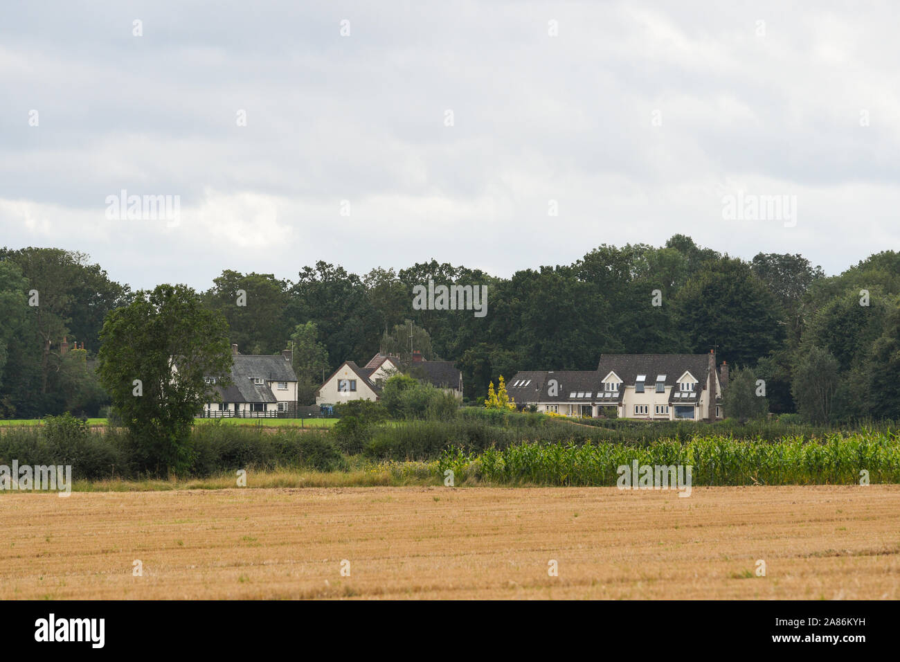 Belle case circondate da terreni agricoli Foto Stock