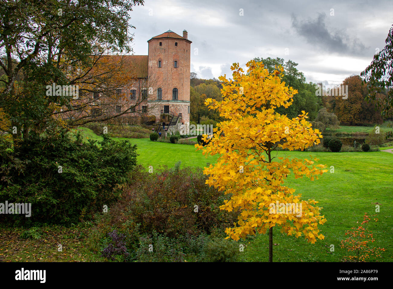 Torup, Svezia - 20 Ottobre 2019: un piccolo albero è completamente giallo foglie durante una bella giornata autunnale nei giardini del castello del castello Torup. Foto Stock