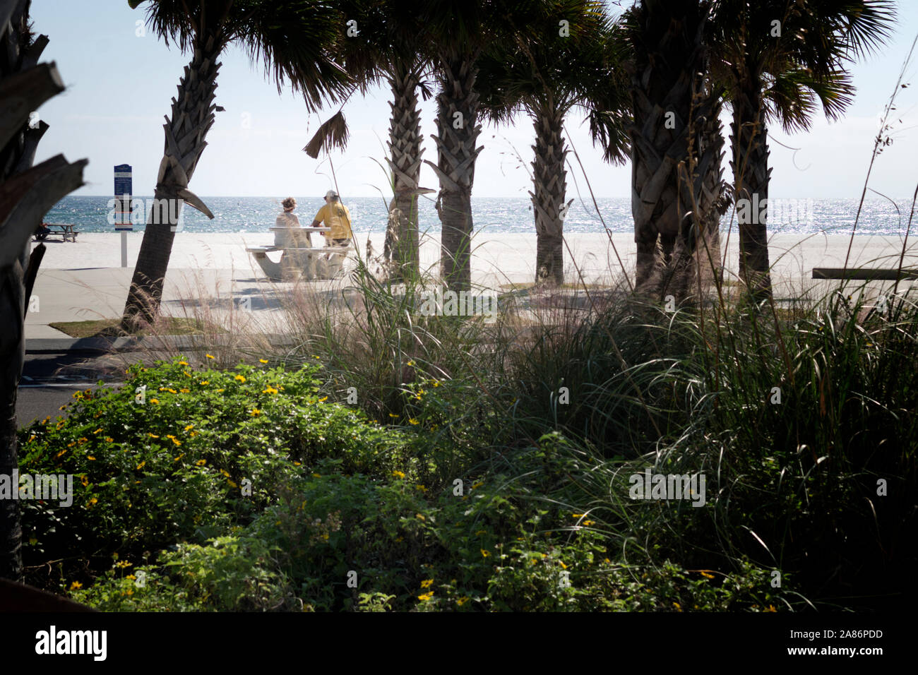 Coppia in pensione guarda il litorale del Golfo del Messico a Gulf Shores, Alabama. Foto Stock