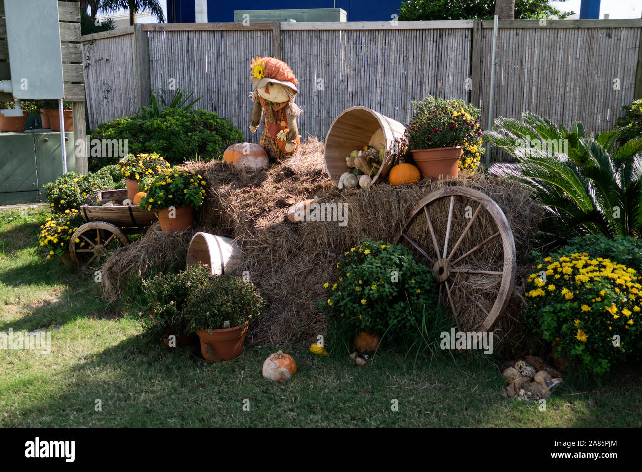 Decorazioni di Halloween presso il ritrovo in Gulf Shores, Alabama. Foto Stock