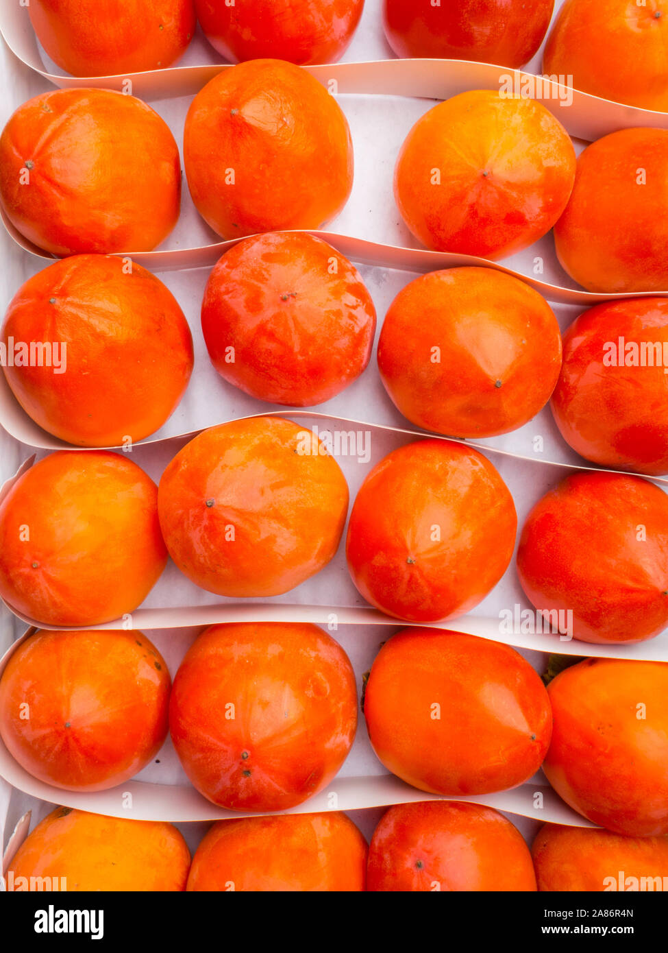 Fresche cachi maturi nel mercato. Persimmon organica frutta nella pila presso gli agricoltori locali del mercato. Sfondo kaki Foto Stock