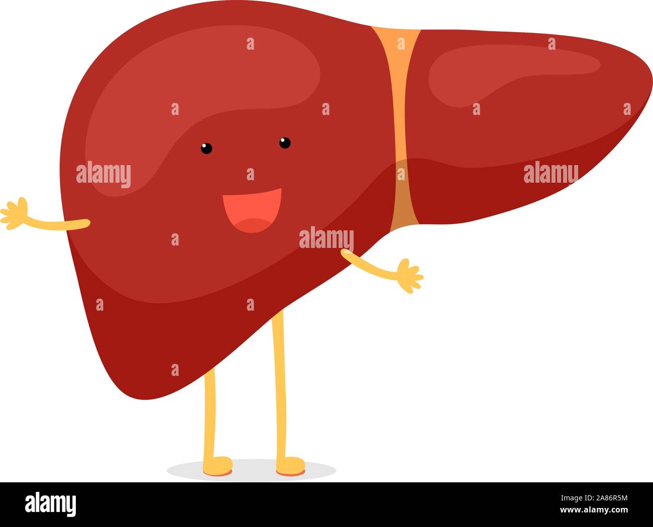 Cartoon carino sano di fegato umano felice commozione carattere. Vettore sorridente divertenti reversibile ghiandola esocrina organo interno illustrazione mascotte Illustrazione Vettoriale