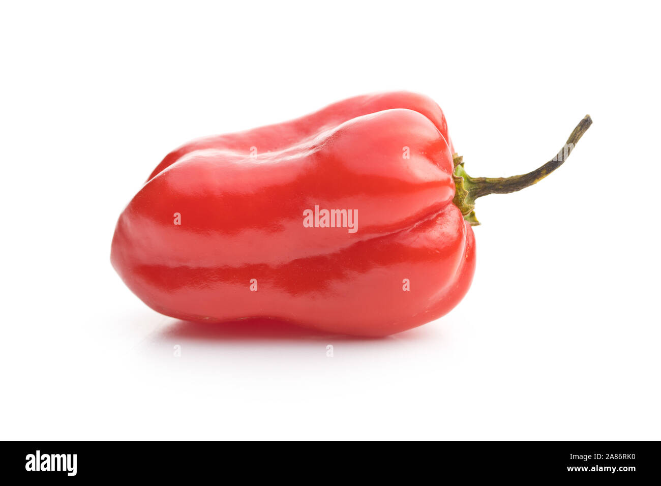 Hot peperoncino habanero isolati su sfondo bianco. Foto Stock