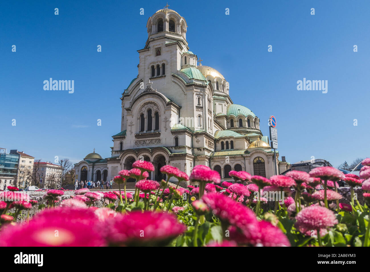 SOFIA, BULGARIA - 4 APRILE 2018: l'esterno della Cattedrale Alexander Nevsky a Sofia in Bulgaria durante la primavera con fiori in primo piano. Foto Stock