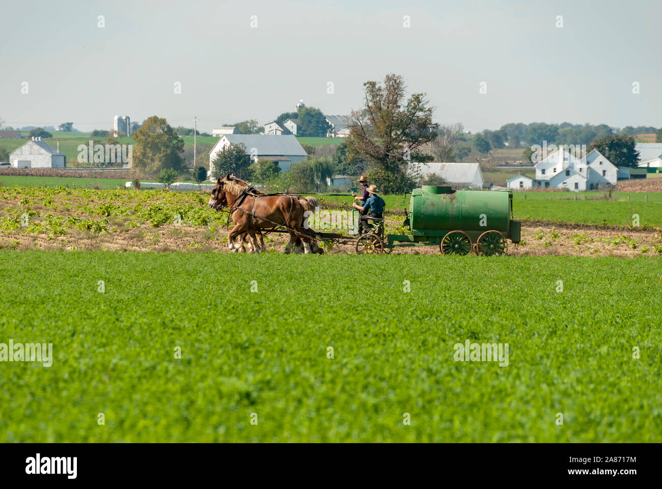 Lancaster, Pennsylvania, Ottobre 2007 - Amish padre figlio di insegnamento come diffusione di concime liquido Foto Stock