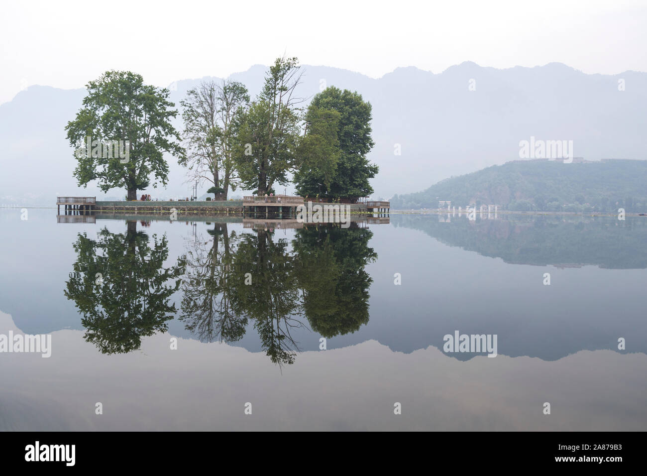 Srinagar Kashmir. Char Chinar nelle prime ore del mattino Foto Stock