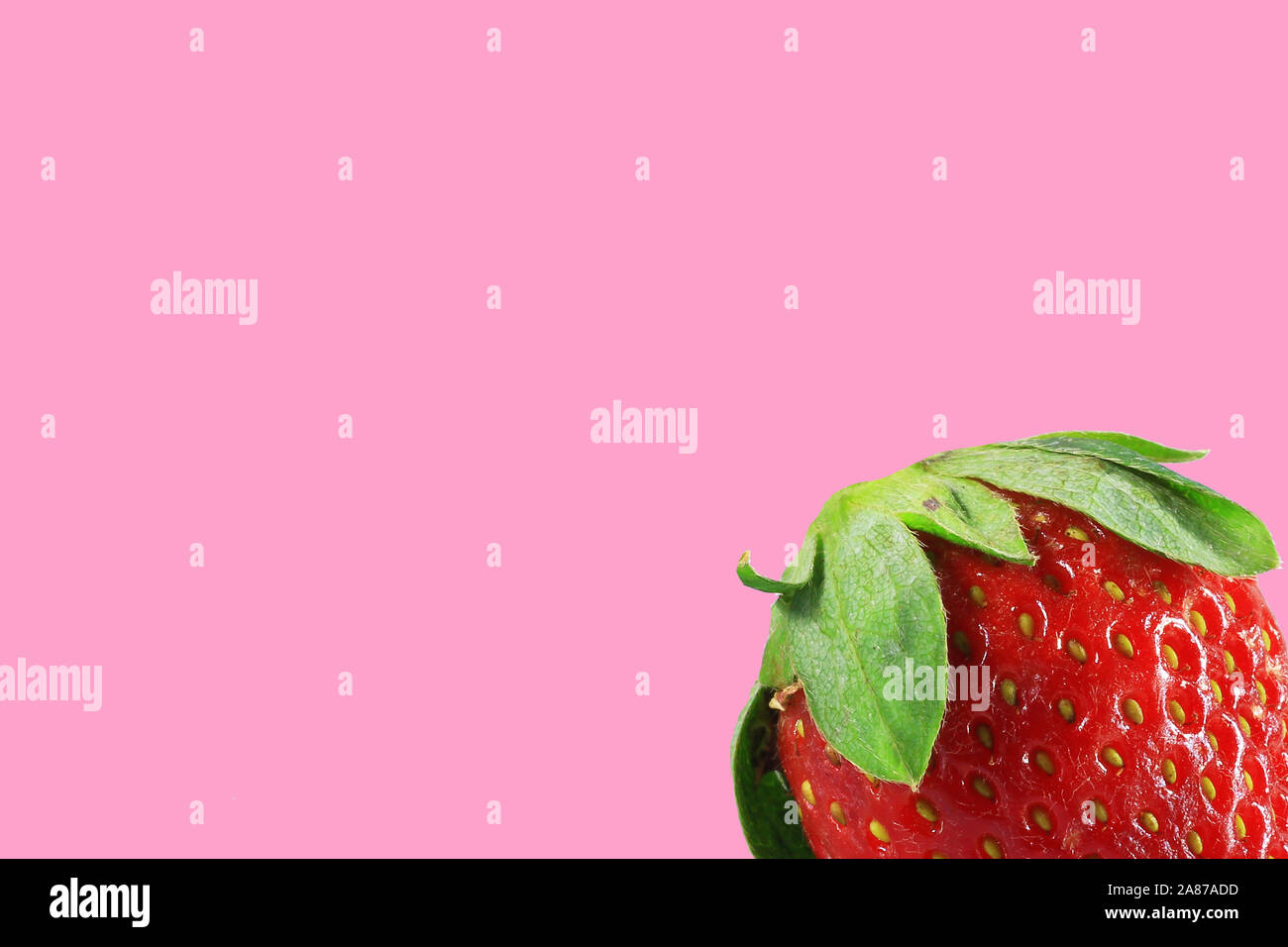Fragola isolati su sfondo rosa. Spazio per il testo Foto Stock