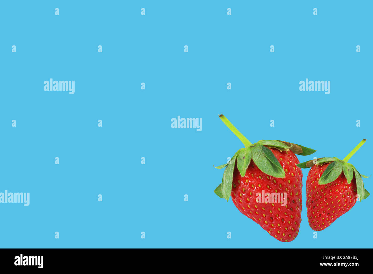 Fragola isolato su sfondo colorato. Spazio per il testo Foto Stock