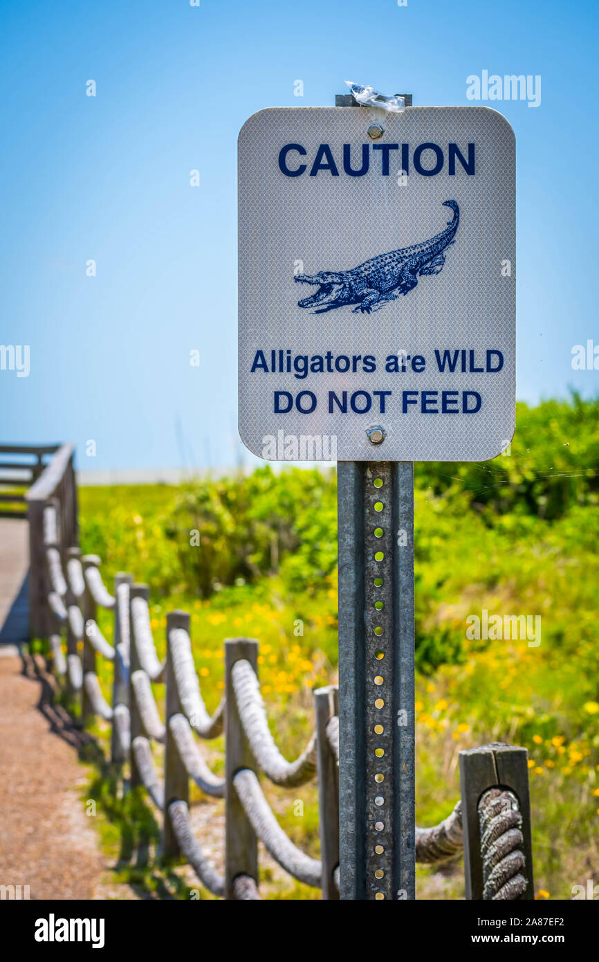 Aransas NWR, TX, Stati Uniti d'America - 21 Aprile 2019: un segno di avvertimento in caso di avvistamento di alligatore Foto Stock