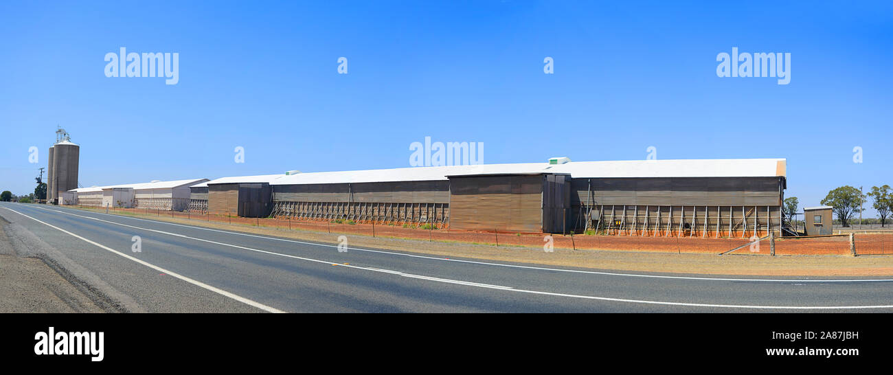 Vista panoramica di un silo Graincorp, vicino Dalby, Queensland, QLD, Australia Foto Stock