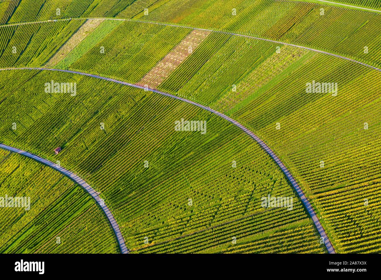 Drone shot, vigneti a Nonnenberg, Remstal vicino Schnait, Baden-Württemberg, Germania Foto Stock