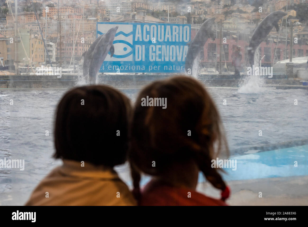 Due bambini all'Acquario di Genova, vista posteriore, guardando i delfini mostrano attraverso il vetro, con segno in background. Foto Stock