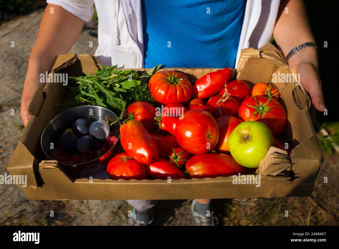 Scatola di frutta e verdura dal giardino di casa, Pirenei orientali, Francia Foto Stock