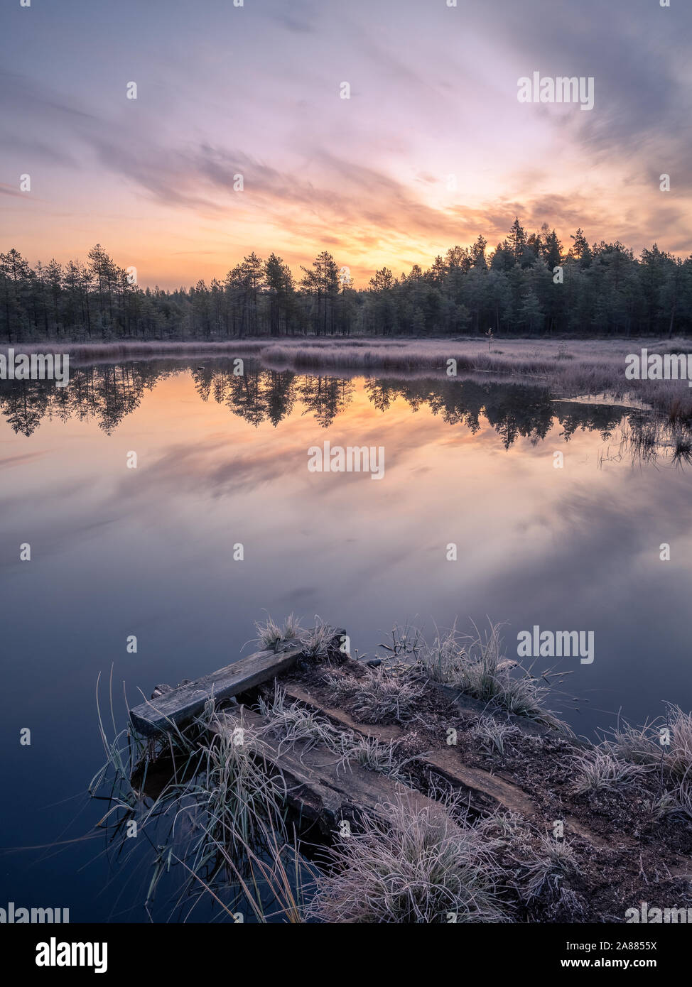 Calma e fredda mattina autunnale paesaggio con sunrise, frosty pier e tranquillo lago in Finlandia Foto Stock