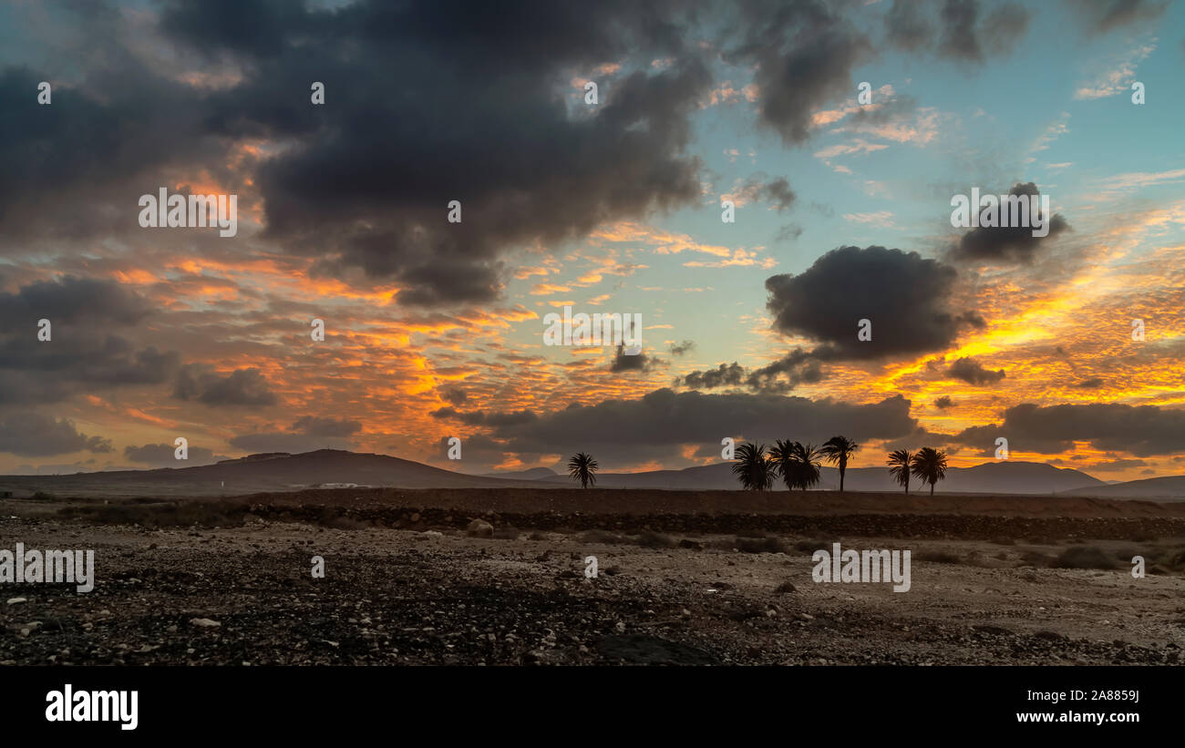 Bel tramonto nel comune di Antigua, Fuerteventura, Isole canarie, Spagna, in un area desertica con palme Foto Stock