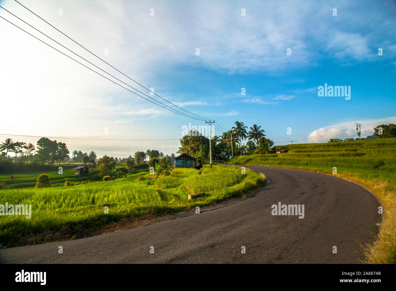 La bellezza naturale di Sumatra e la splendida distesa di campi di riso Foto Stock