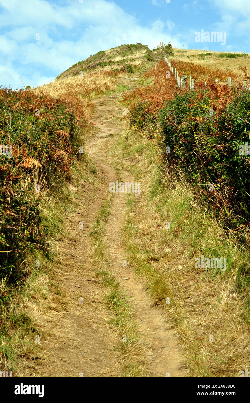 Ripido percorso di erba fino alla cima di una collina sulla Ceredigion sentiero costiero a piedi, parte di tutti Wales coast Path, REGNO UNITO Foto Stock
