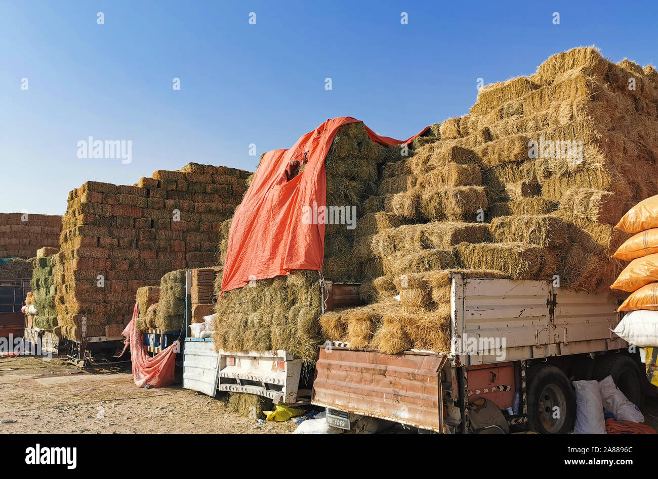 Asciugare le balle di fieno. Balle di fieno sono accatastati in pile di grandi dimensioni. La raccolta in agricoltura.balle di fieno. Balle di fieno sono impilati sulla fattoria in pile di grandi dimensioni. Harve Foto Stock