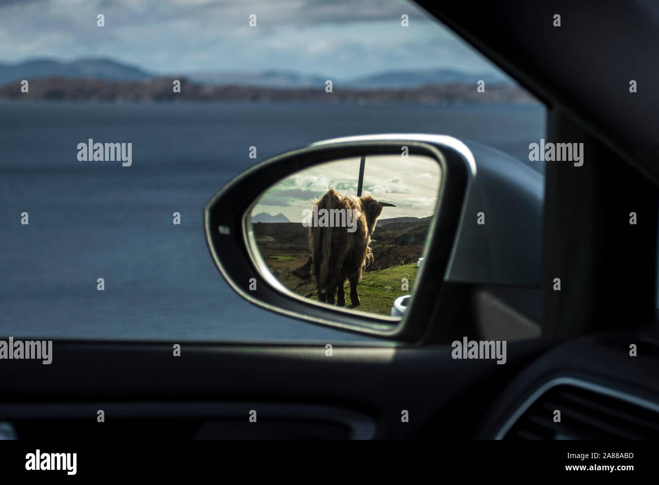 Highland vacche, Skye, Scozia Foto Stock
