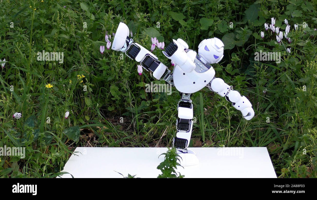 Un androide robot umanoide pratiche Kung Fu Karate nel parco. Il robot è in corso per proteggere l'umanità da parte degli alieni. Foto Stock