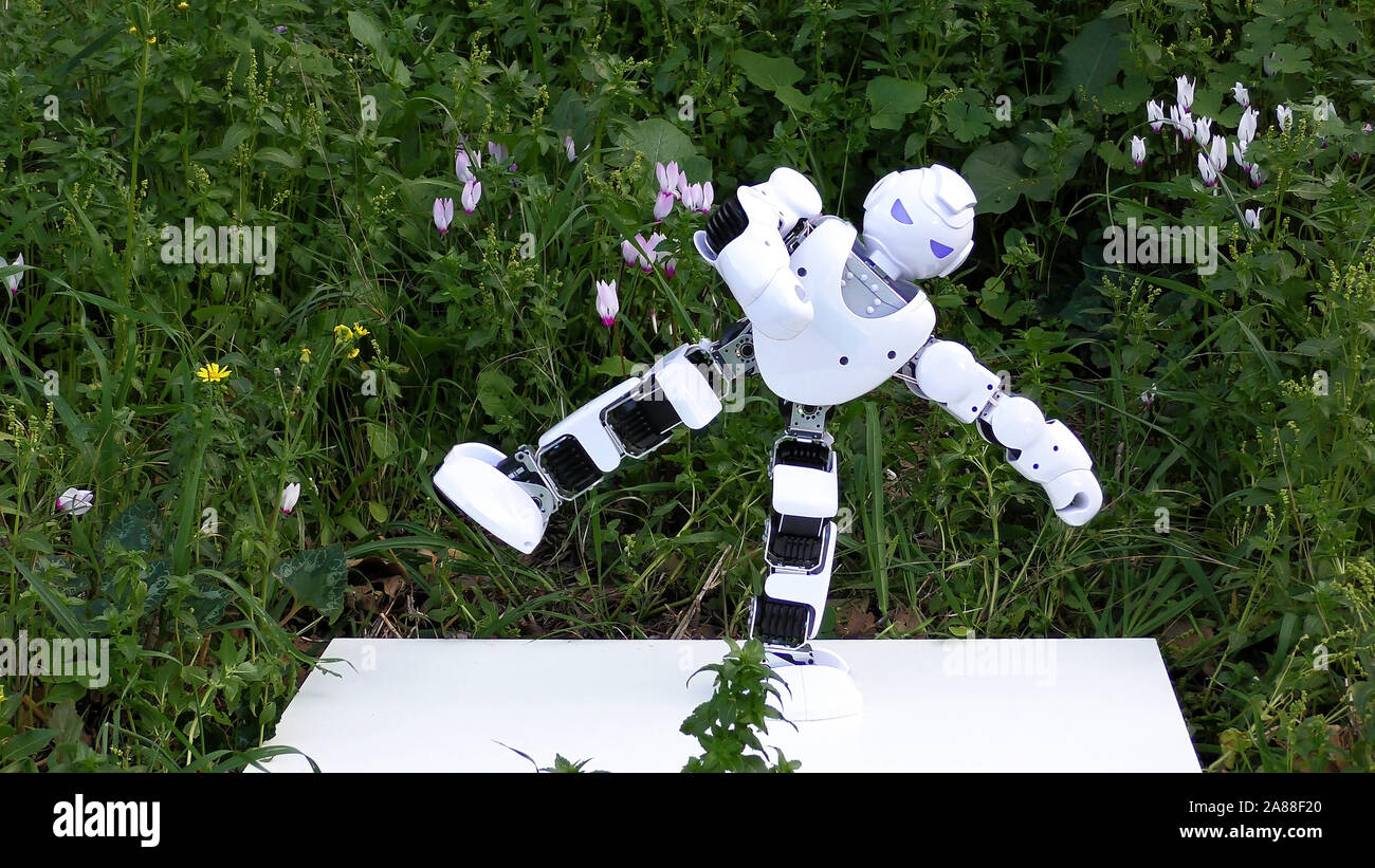 Un androide robot umanoide pratiche Kung Fu Karate nel parco. Il robot è in corso per proteggere l'umanità da parte degli alieni. Foto Stock