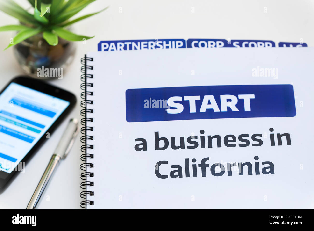 Giuridico delle strutture aziendali informazioni su una scrivania con telefono cellulare, penne e pianta del deserto. Foto Stock