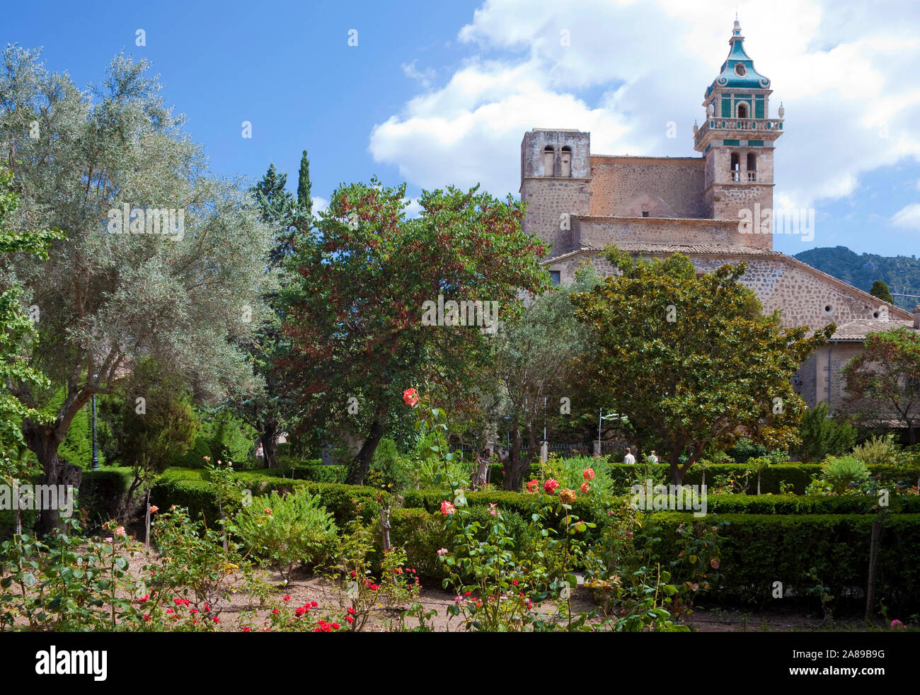 La Certosa di Valldemossa, regione Comarca, Serra de Tramuntana, Maiorca, isole Baleari, Spagna Foto Stock