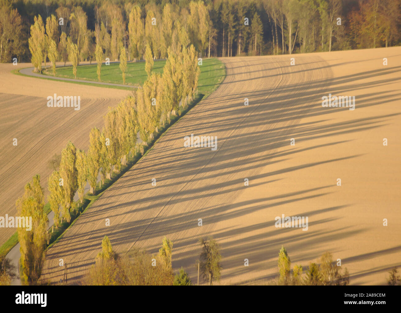 Napoleonstraße (Napoleone vicolo) vicino Lilienstein, vista da Festung Königsstein, autunno, Sächsische Schweiz, Germania Foto Stock