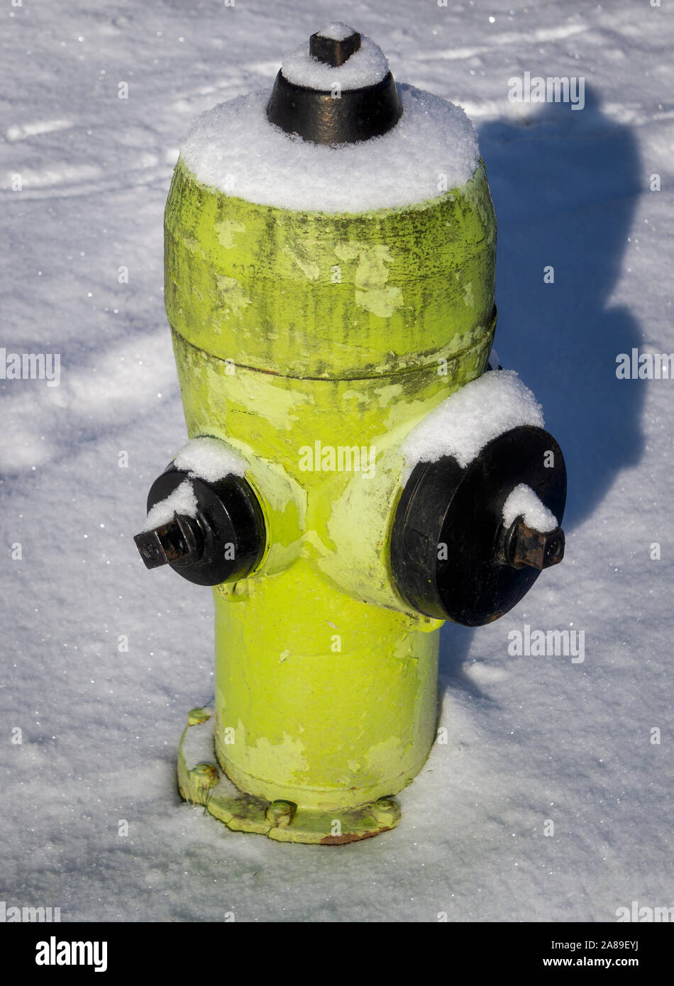 Idrante di fuoco Calgary Alberta Foto Stock