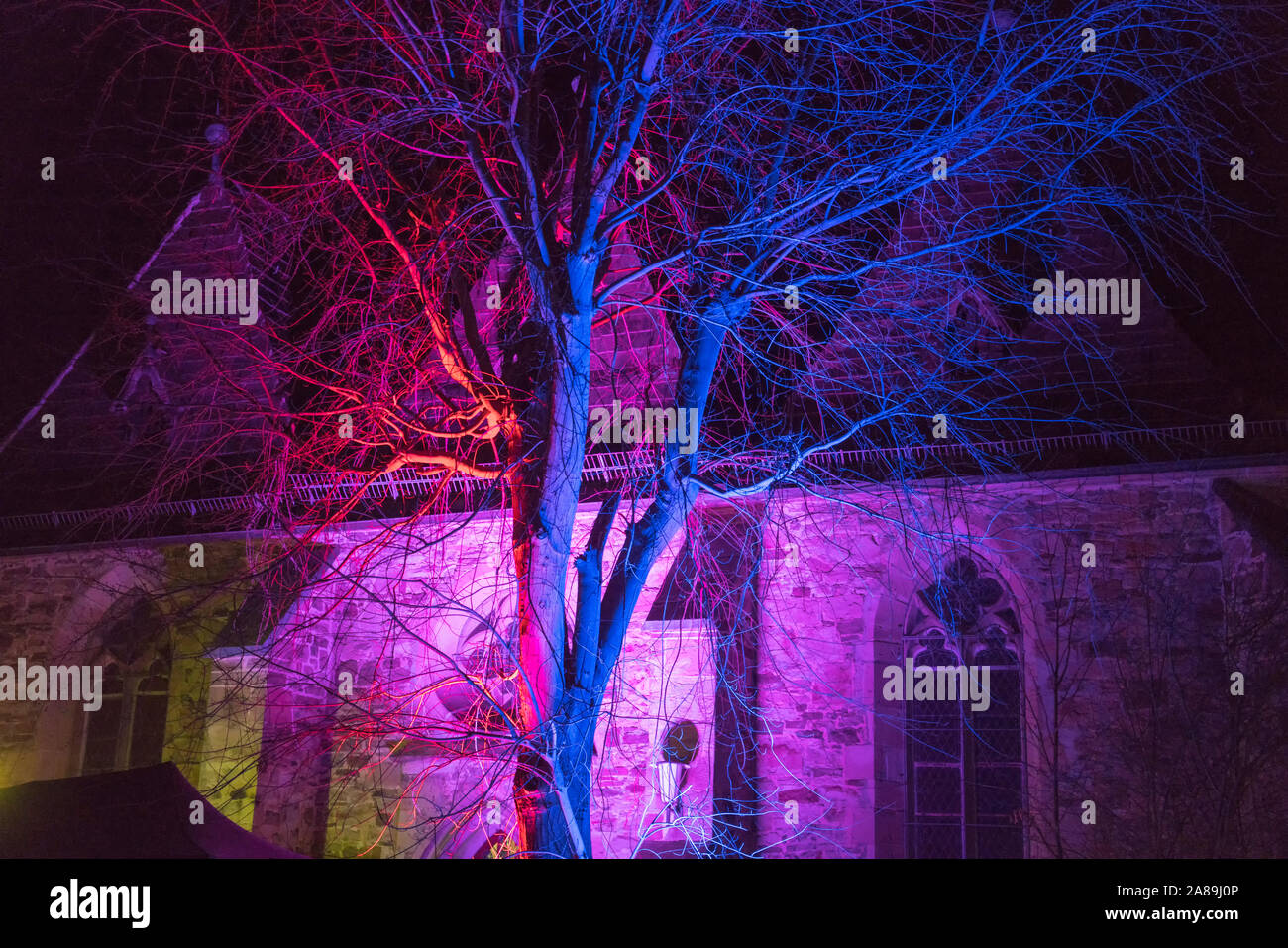 Illuminate tree, Trendelburg, Weser Uplands, Weserbergland, Hesse, Germania Foto Stock