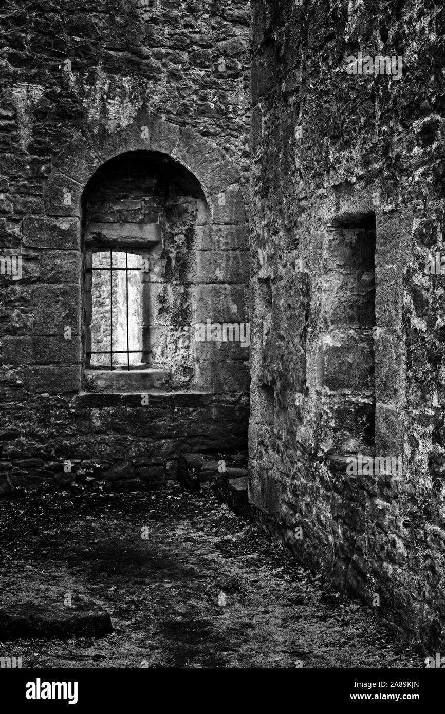 Un angolo remoto a cranny a Wjalley Abbey, Lancashire, Regno Unito Foto Stock