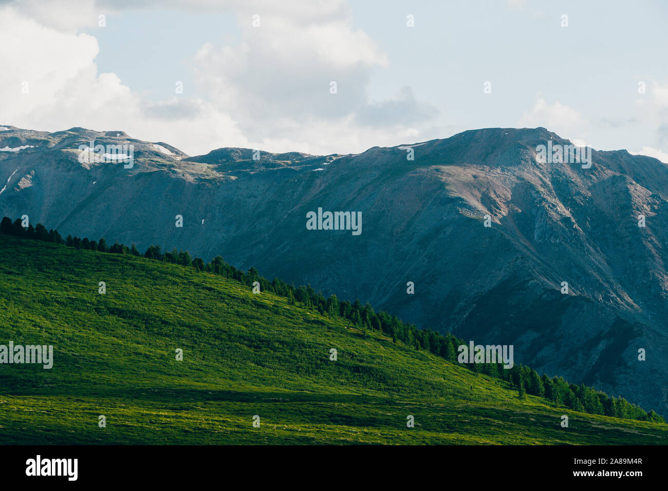 Morbide colline con erba verde sotto il cielo nuvoloso Foto Stock