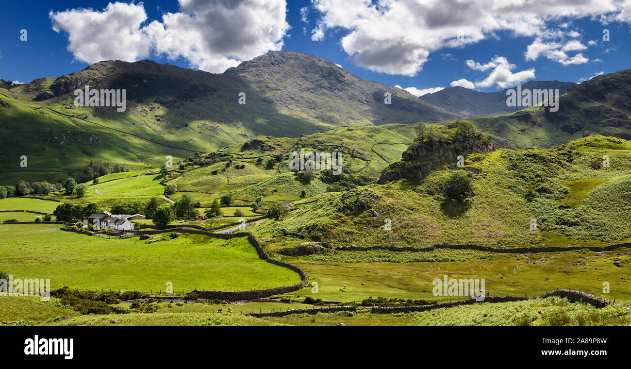 Caduto il piede in fattoria poco Langdale valley accanto al castello di roccia Howe e Wetherlam come turbolenza e grande la Carrs picchi Lake District Inghilterra Foto Stock