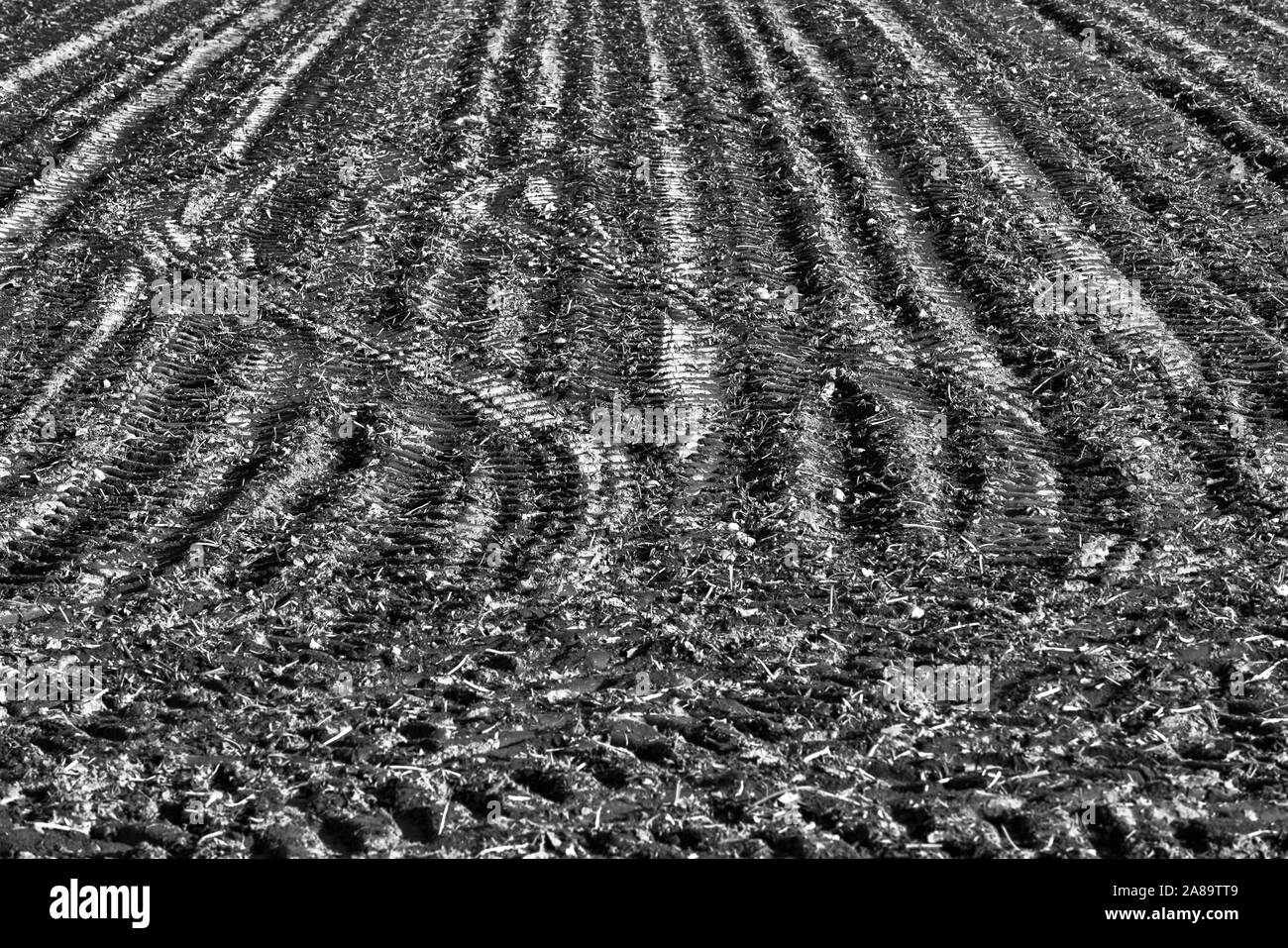 I cingoli del trattore, un campo vicino Oberweser, Weser Uplands, Weserbergland, Hesse, Germania Foto Stock