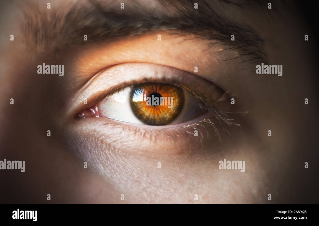 L'arancio luminoso occhio e sopracciglio di un dai capelli scuri, uomo illuminato dalla luce solare. Foto Stock