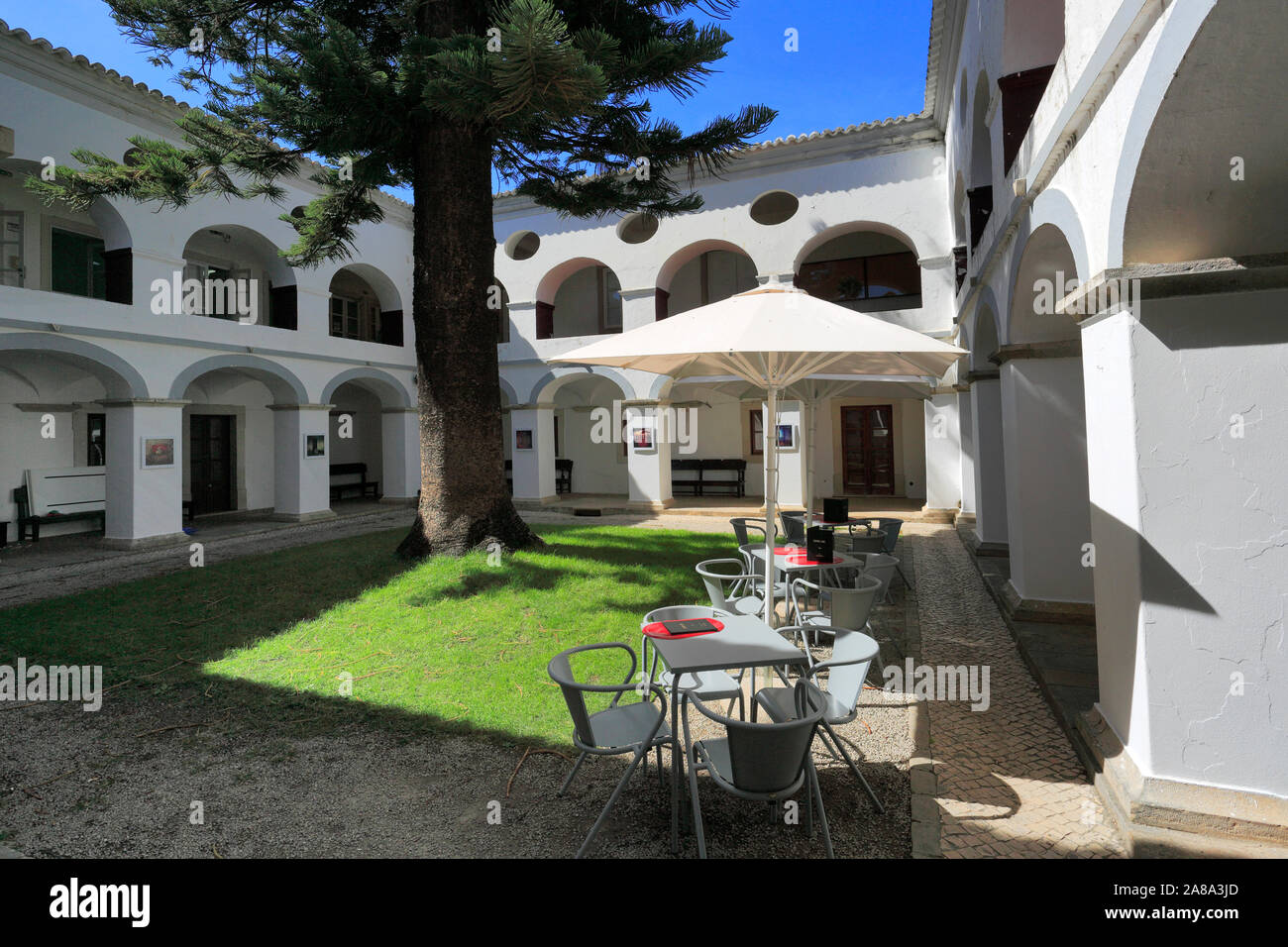 Vista estiva del Convento do Espirito Santo e del torreggiante Norfolk Pino, Loule town, Algarve, Portogallo, Europa Foto Stock