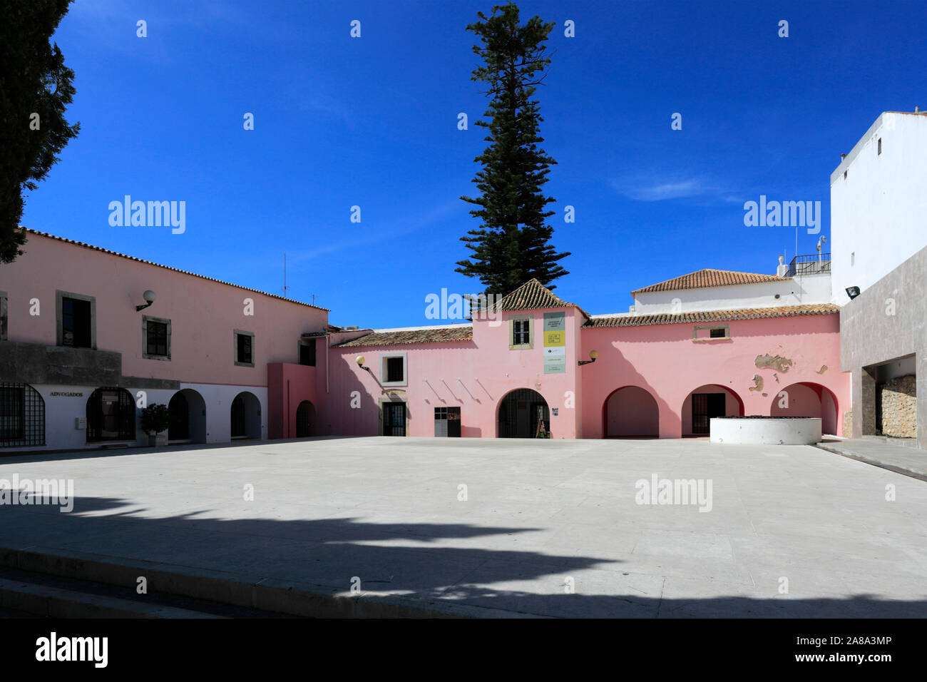 Vista estiva del Convento do Espirito Santo e del torreggiante Norfolk Pino, Loule town, Algarve, Portogallo, Europa Foto Stock