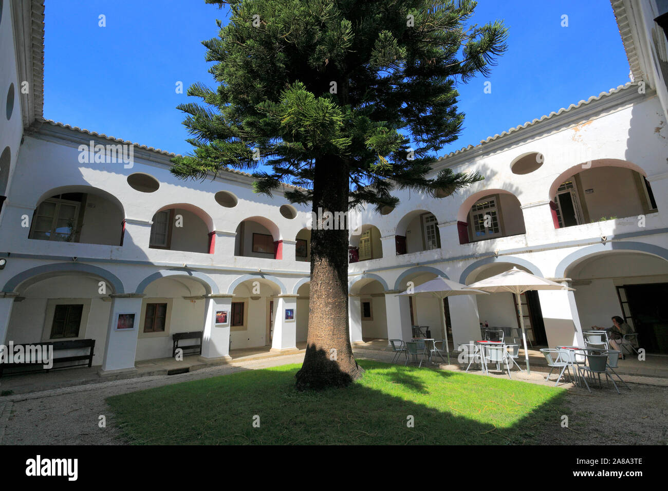 Vista estiva del Convento do Espirito Santo e del torreggiante Norfolk Pino, Loule town, Algarve, Portogallo, Europa Foto Stock