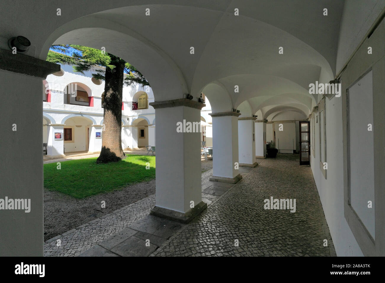 Vista estiva del Convento do Espirito Santo e del torreggiante Norfolk Pino, Loule town, Algarve, Portogallo, Europa Foto Stock