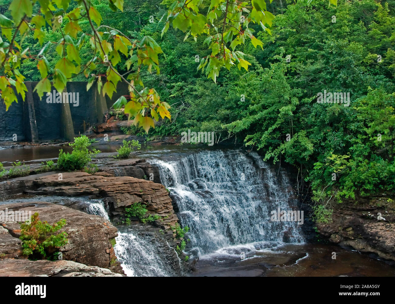 L'acqua si blocca su rocce di DeSoto cade il Agosto 5, 2010 a Mentone, Alabama. La zona offre un 104-piedi cascata ed è parte di DeSoto parco dello stato. Foto Stock