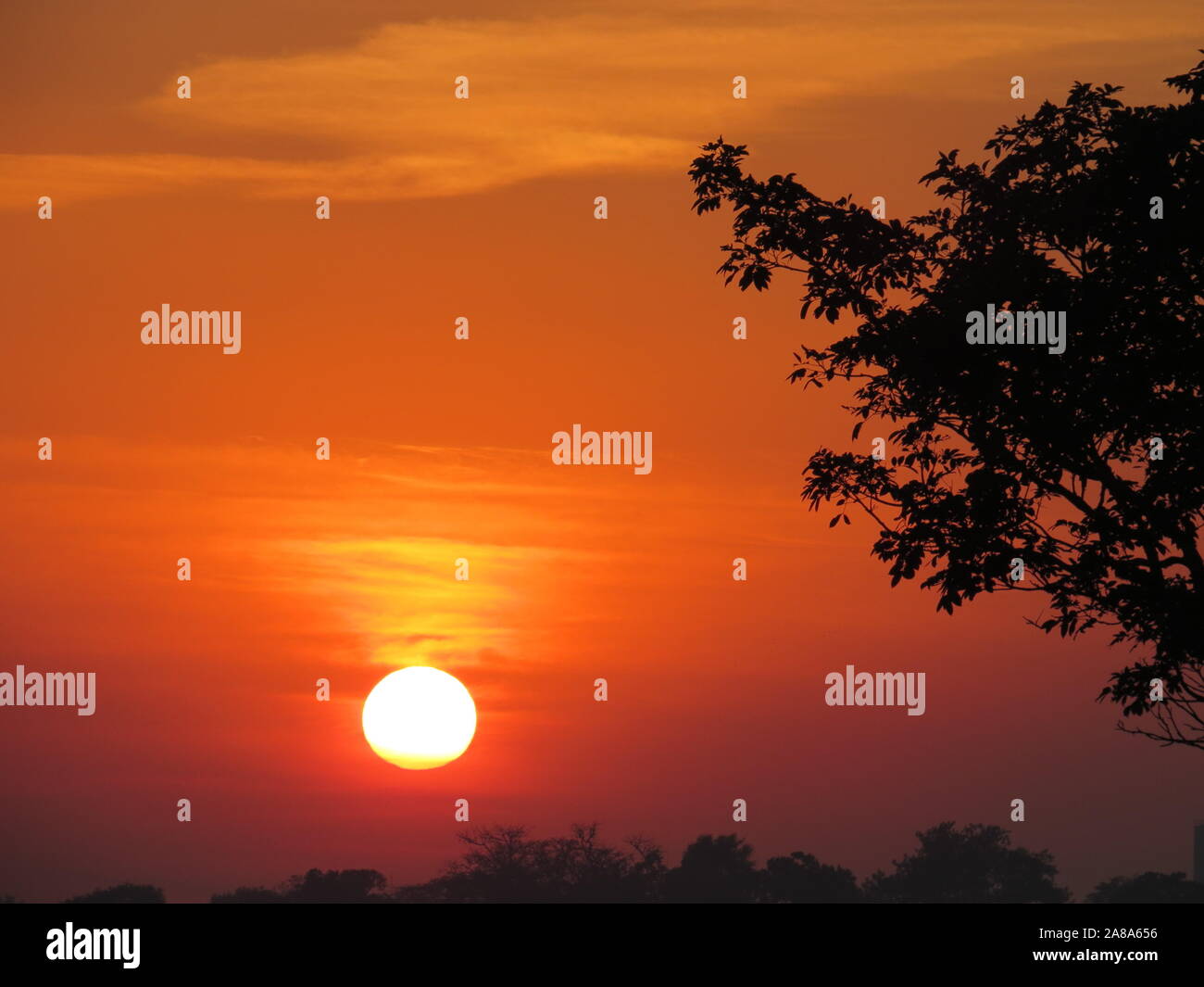 Magnifico tramonto con cielo arancione Foto Stock