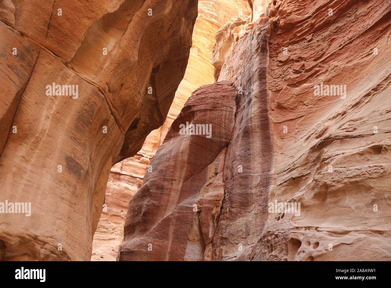 Guardando verso l'alto dal percorso di arenaria attraverso il Siq, che è la stretta gola di passaggio che si cammina lungo per raggiungere Petra, Giordania. Foto Stock