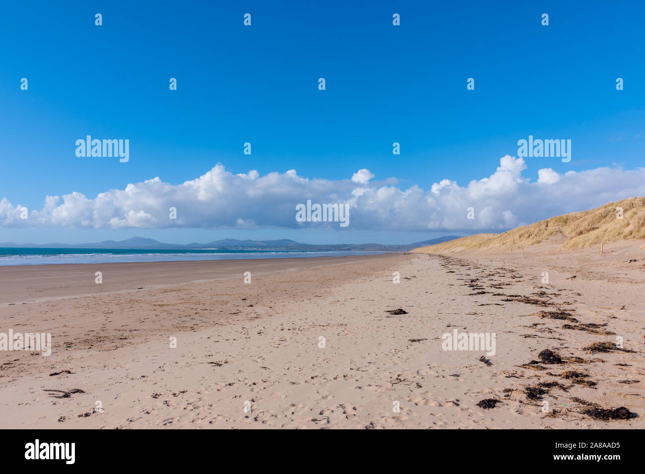 La spiaggia a Harlech Galles del Nord con la penisola di Llyn nella distanza Foto Stock