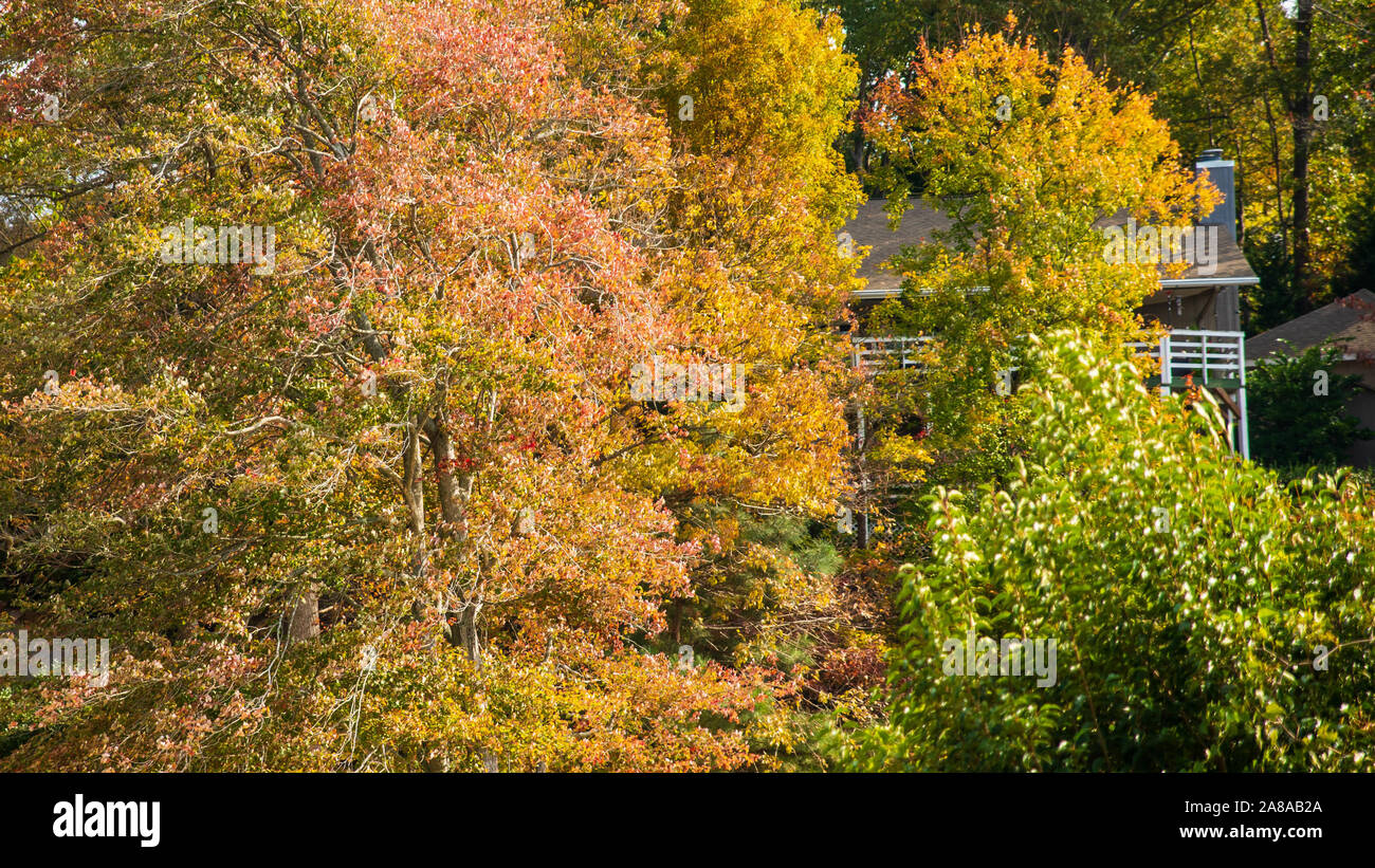 Colori autunnali intorno Tega Cay e Fort Mill SC Foto Stock