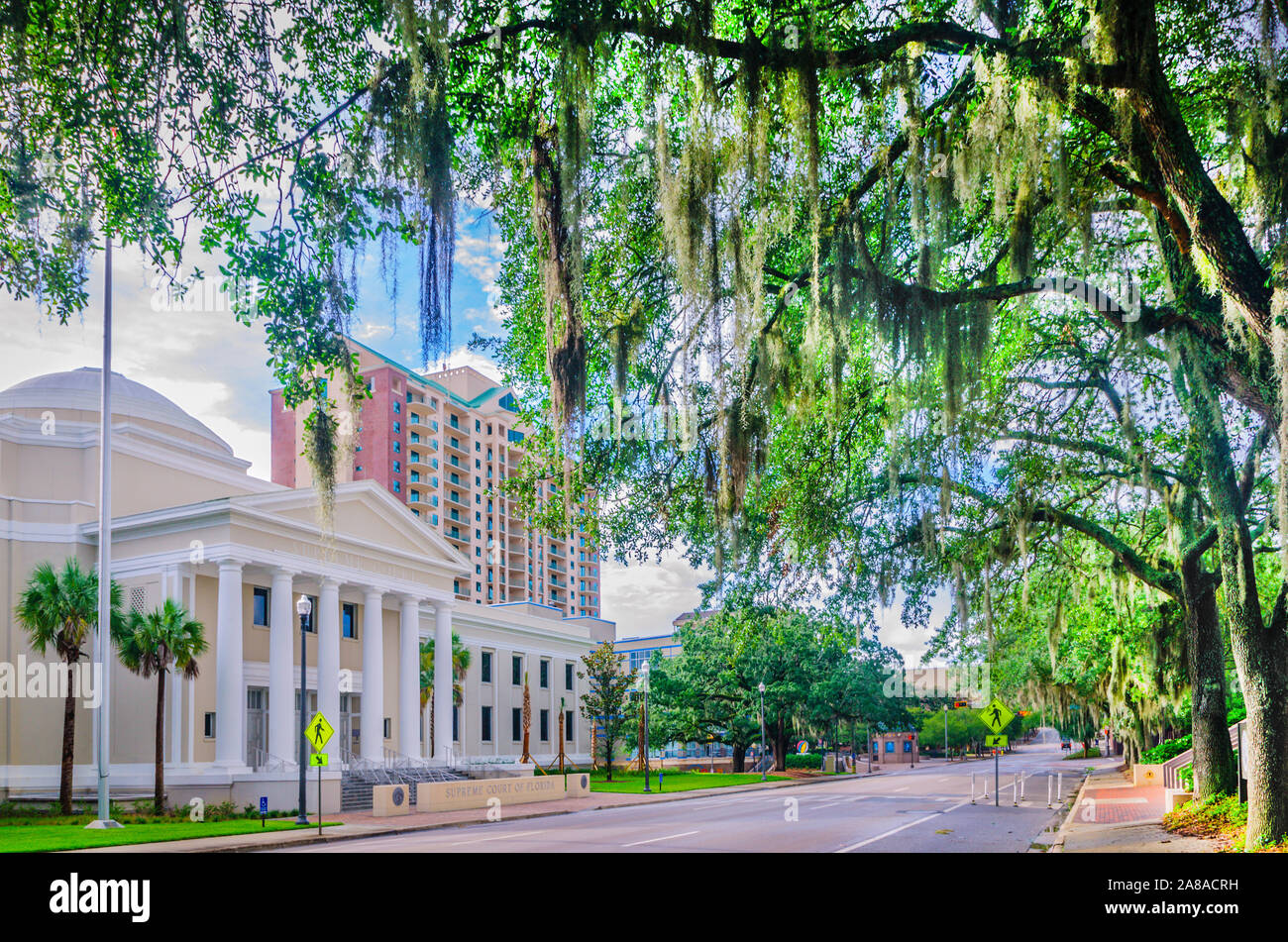 Il Florida Supreme Court è raffigurato, luglio 20, 2013, in Tallahassee, Florida. Foto Stock